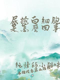 尿检白细胞2十是怎么回事