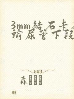 3mm结石卡在输尿管下段