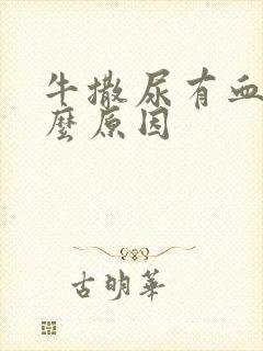 牛撒尿有血是什么原因