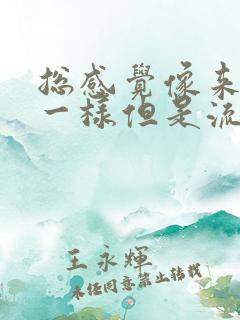 总感觉像来月经一样但是流的水