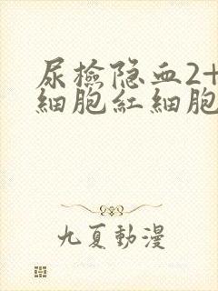 尿检隐血2+白细胞红细胞高