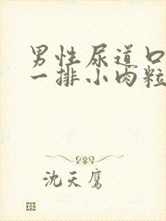 男性尿道口长了一排小肉粒