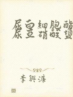 尿白细胞酯酶和尿亚硝酸盐阳性