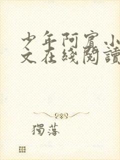 少年阿宾小说全文在线阅读