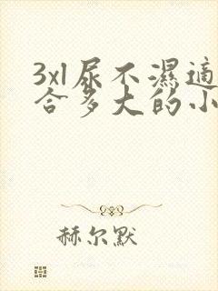 3xl尿不湿适合多大的小孩