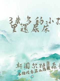 3岁多的小孩夜里还尿床