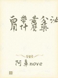 白带黄分泌物多用什么药