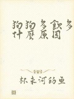 狗狗多饮多尿是什么原因