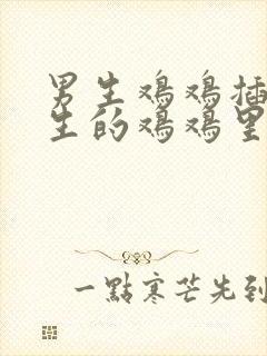 男生鸡鸡插入女生的鸡鸡里