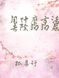 用什么方法可以去除狗狗尿味