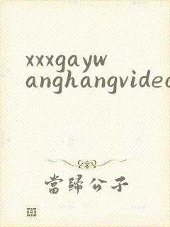 xxxgaywanghangvideos