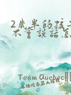 2岁半的孩子还不会说话怎么回事