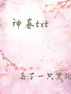 神眷txt