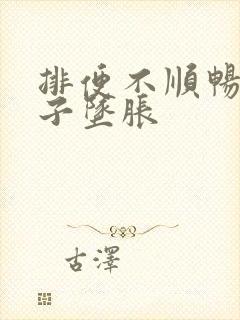 排便不顺畅小肚子坠胀