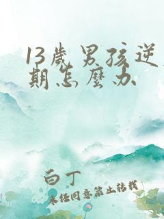 13岁男孩逆反期怎么办