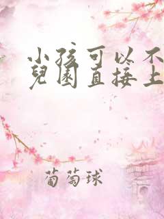 小孩可以不上幼儿园直接上小学吗