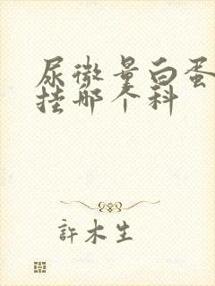 尿微量白蛋白高挂哪个科