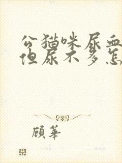 公猫咪尿血尿频但尿不多怎么办