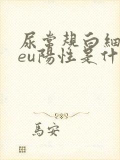 尿常规白细胞leu阳性是什么意思