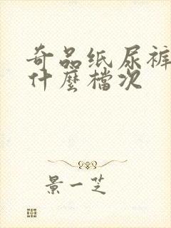 奇品纸尿裤属于什么档次