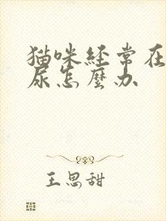 猫咪经常在床上尿怎么办