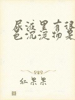 尿液里有很多白色沉淀物是什么原因