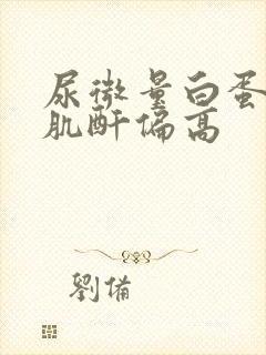 尿微量白蛋白/肌酐偏高