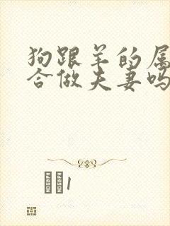 狗跟羊的属相适合做夫妻吗