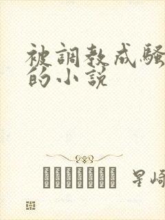 被调教成骚母狗的小说