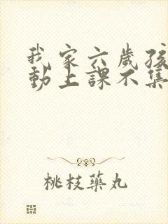 我家六岁孩子好动上课不集中