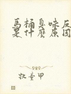 马桶臭味反上来是什么原因