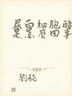 尿白细胞酯酶高是怎么回事