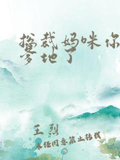 总裁妈咪你找错爹地了