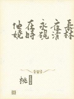 他在永夜长眠苏娆时砚清林若浅