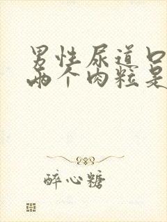 男性尿道口长了两个肉粒是怎么回事