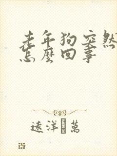 老年狗突然尿多怎么回事