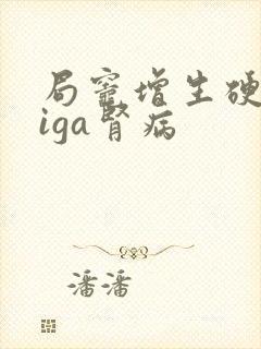 局灶增生硬化性iga肾病