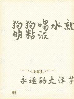 狗狗喝水就吐透明粘液