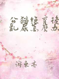 公猫绝育后还会乱尿怎么办