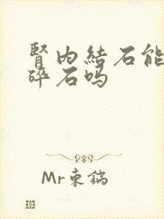 肾内结石能体外碎石吗