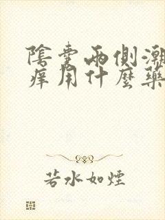 阴囊两侧潮湿瘙痒用什么药