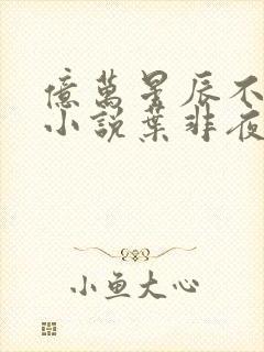 亿万星辰不及你小说叶非夜