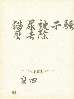 猫尿被子骚味怎么去除