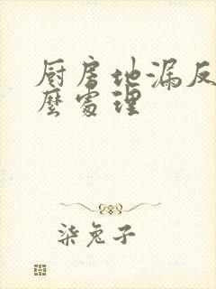 厨房地漏反味怎么处理