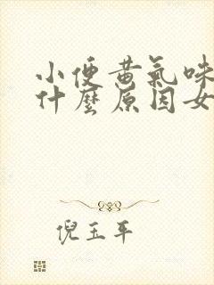 小便黄气味重是什么原因女