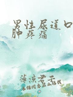 男性尿道口内红肿疼痛