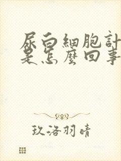 尿白细胞计数高是怎么回事儿