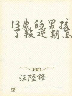 13岁的男孩到了叛逆期怎么教