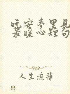 晚安梦里见情话最暖心短句