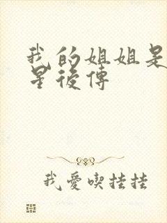 我的姐姐是大明星后传